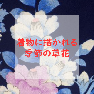 この花なんの花 着物に描かれる草花と季節 柄予想シリーズ 笹パンダ堂